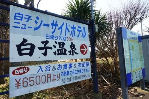 Hawaiian Cottage Villa Shirako3