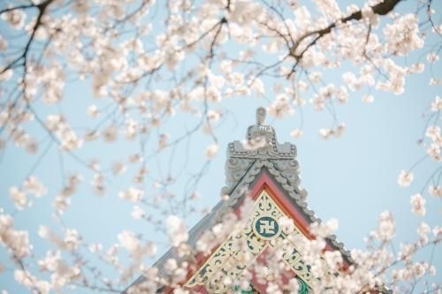 Ostay Nippori Hotel Apartment (Nishi-Nippori Sta.)1