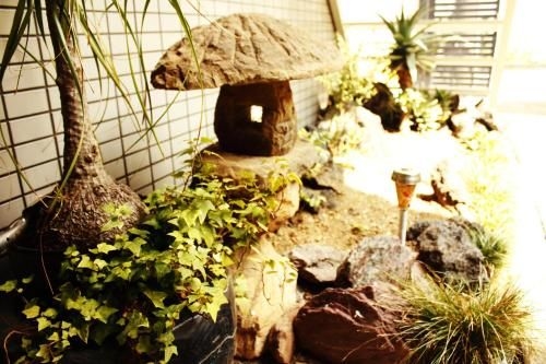 YI.YI.HOUSE Ⅱ (YI.YI.House II)2