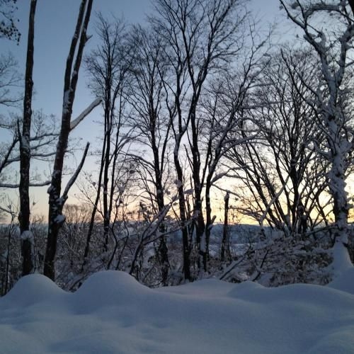 Japow House1