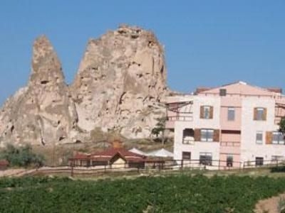 KARLIK EVI1