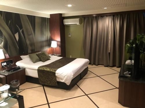 Hotel Vert (Love Hotel)4