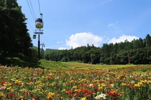 วิลลา โชเล ฮากูบะ (Villa Schole Hakuba)4