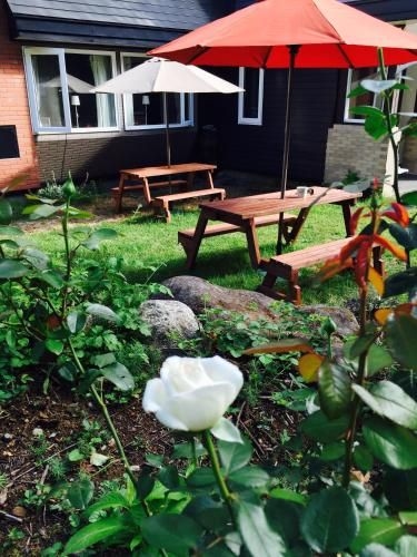 White Rose Inn2