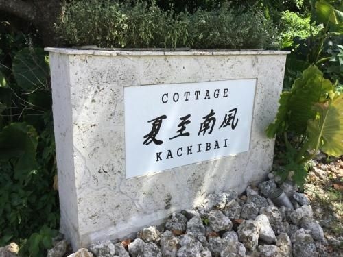 คาชิบาอิ (Kachibai)2