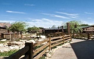 Roulette PortAventura Resort0