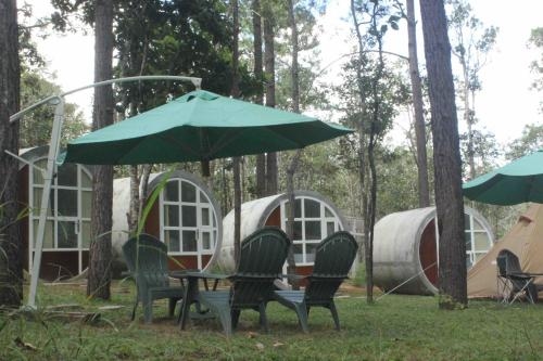 vKirirom Pine Resort4