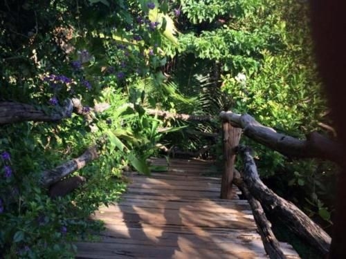 Tree Top Eco-Lodge0