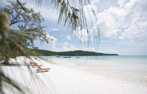 Orchid Resort0