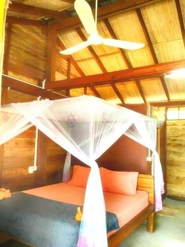 Orchid Resort3