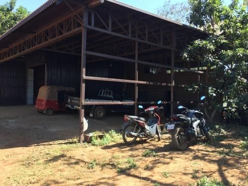 Tree Lodge3