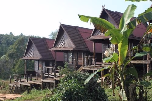 Tree Lodge0
