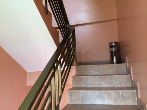 Avocado Guesthouse2
