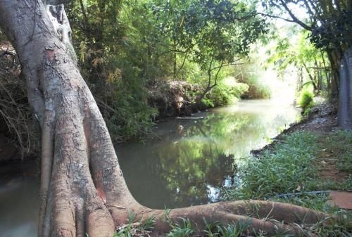 Mondulkiri Pizza Bungalows1