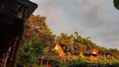 Tree Lodge Banlung0