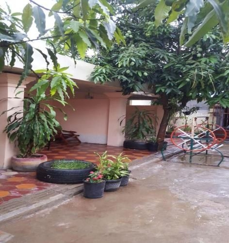 Paris Nortey Homestay1