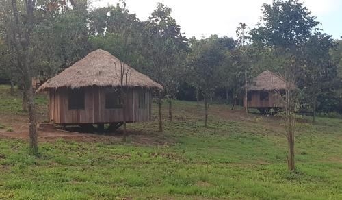 Gibbon Lodge0