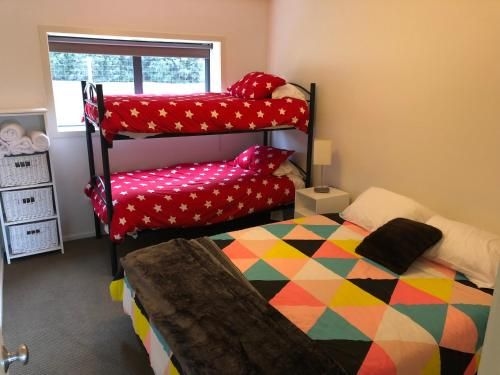 Shed Apartment0