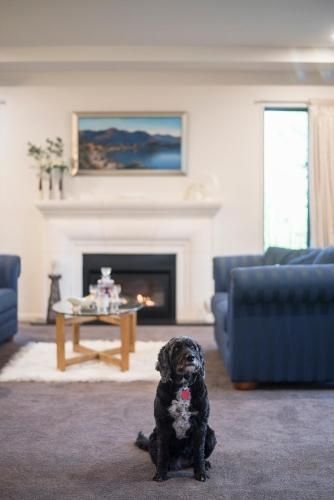 St James Bed and Breakfast2