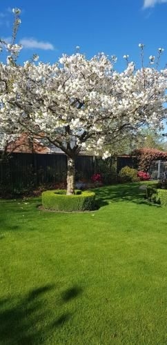 St James Bed and Breakfast1