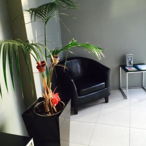 Parnell Pines Hotel3