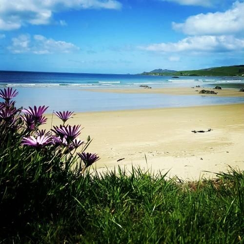 Kaka Point Spa Accommodation - Catlins2