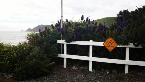 Kaka Point Spa Accommodation - Catlins3