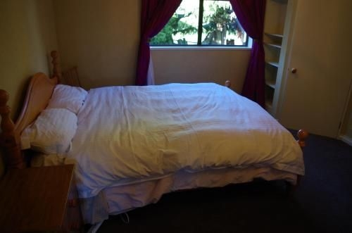 David's House3