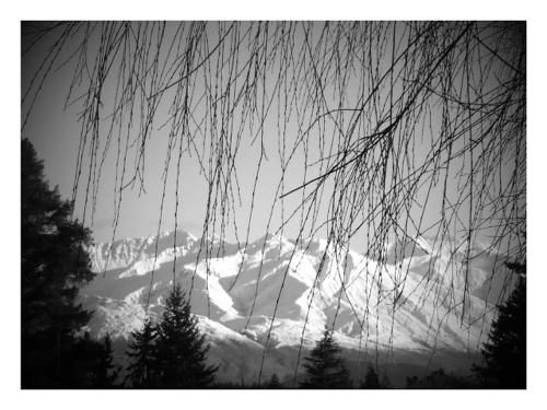 Wanaka Lodges1