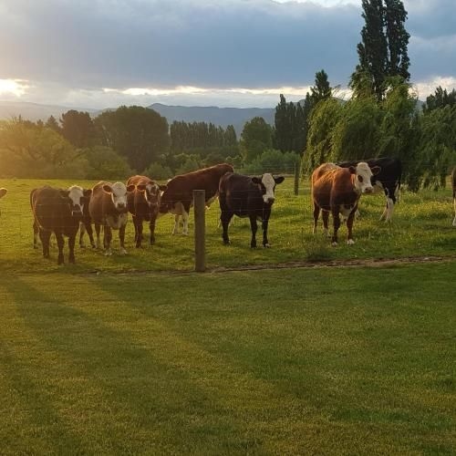 Dunstan Road B&B2