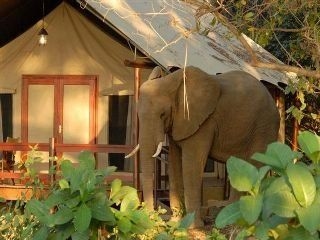Lugenda Wilderness Camp1