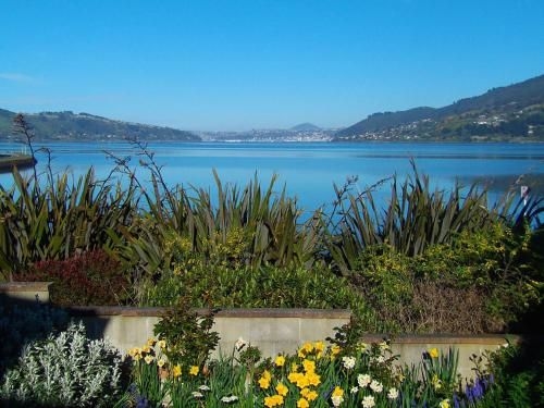 Arts Content Harbour View0