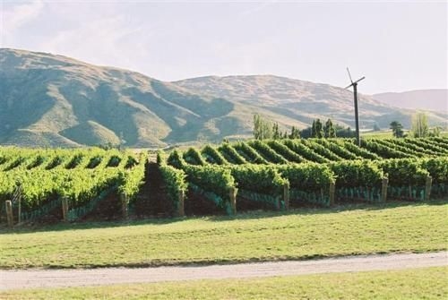 Pagan Vines Vineyard Accommodation1
