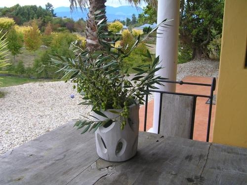 Mapua Hills Bed and Breakfast3