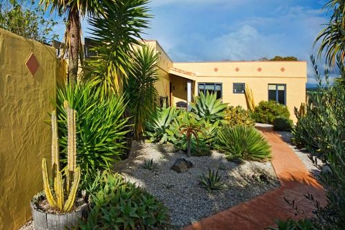 Mapua Hills Bed and Breakfast0