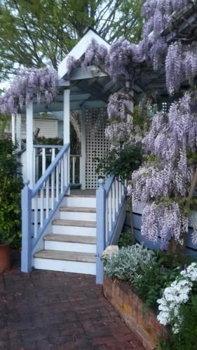 Rose Cottage B&B0