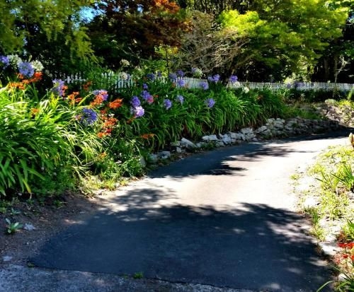 Moose Lodge Estate4
