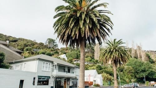 Wonderful Whangaroa4