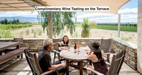 Grey Ridge Vineyard Experience0