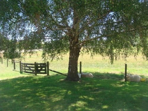 Woolshed Bed & Breakfast2