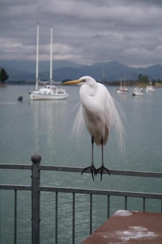Mapua Wharf Accommodation3