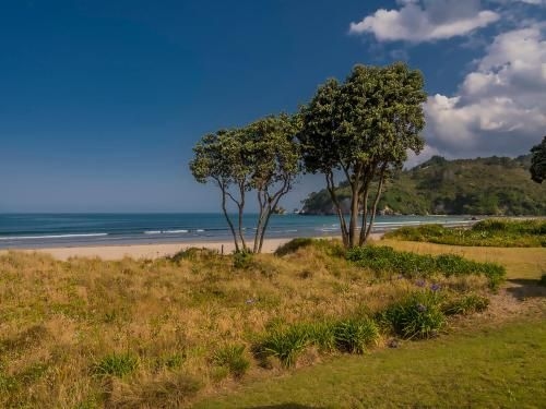 Beachfront Beauty - Whangamata3