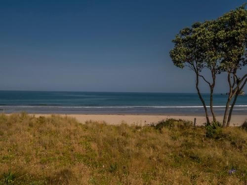 Beachfront Beauty - Whangamata2