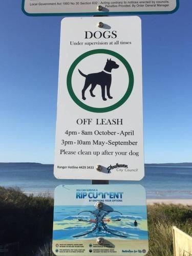 Drifters @ Callala Beach (Drifters At Callala Beach)1