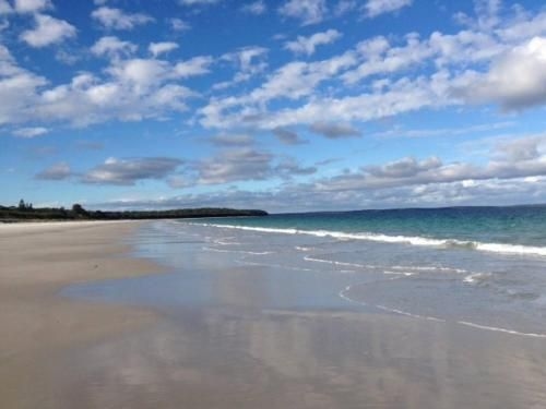 Drifters @ Callala Beach (Drifters At Callala Beach)2
