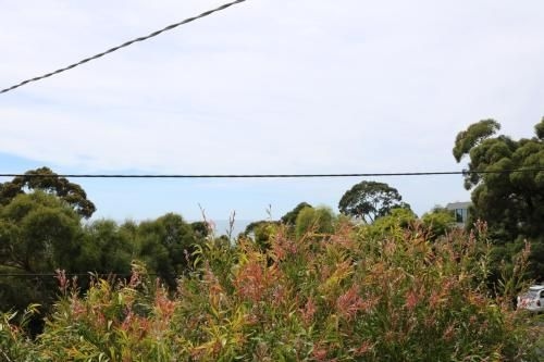 Lorne Haven4