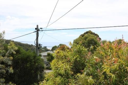 Lorne Haven3