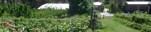 Eureka Farm3
