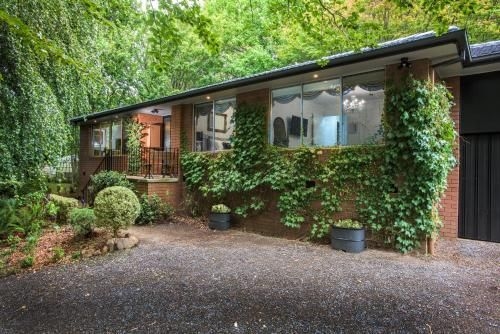 The Beeches - Olinda3