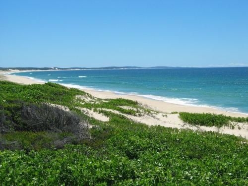 Pet Friendly on Pelican - Close to Myall River (Pet Friendly - Close to Myall River)2